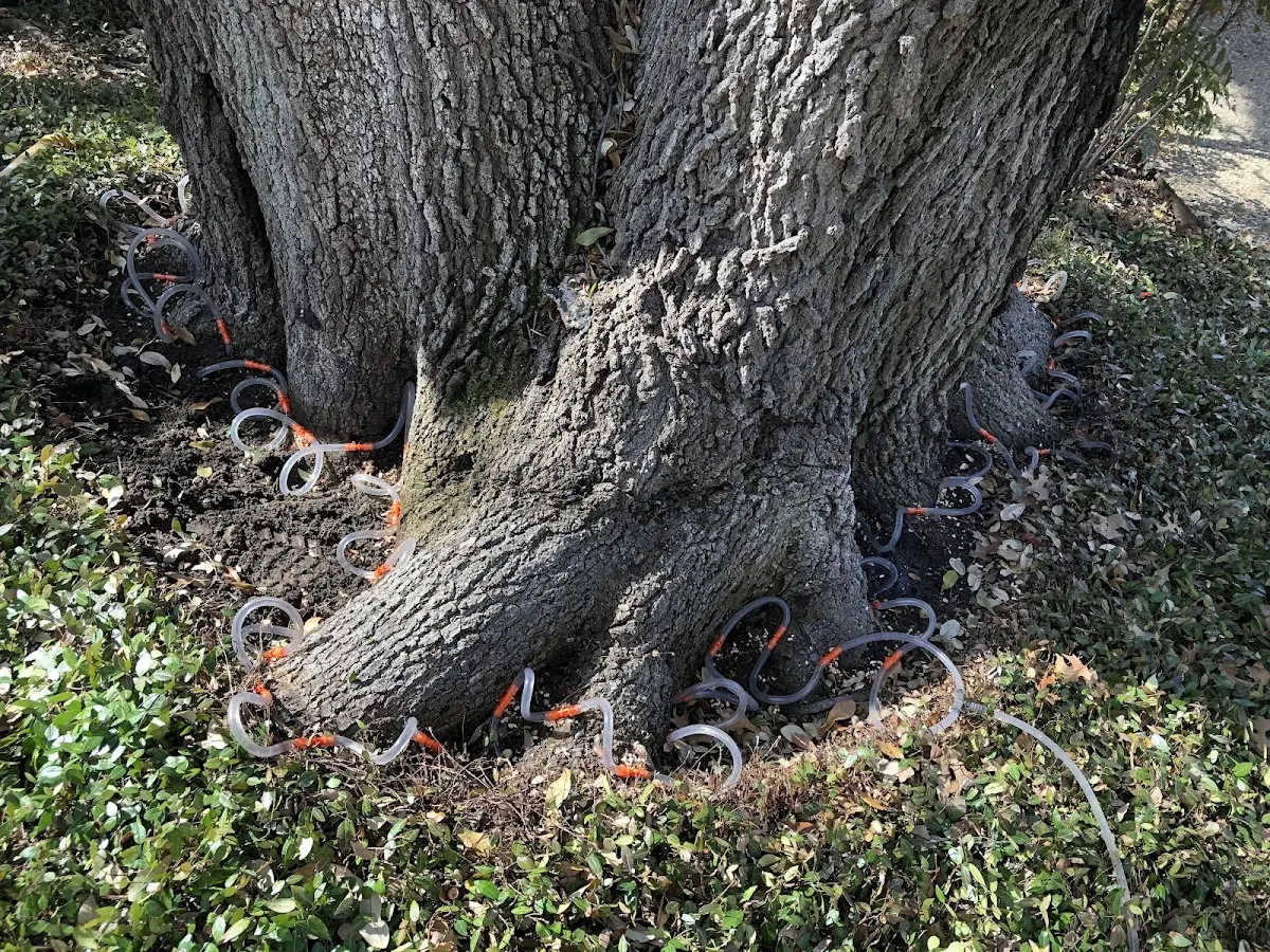 Detailed Shrub and Hedge Trimming job site in Guyton