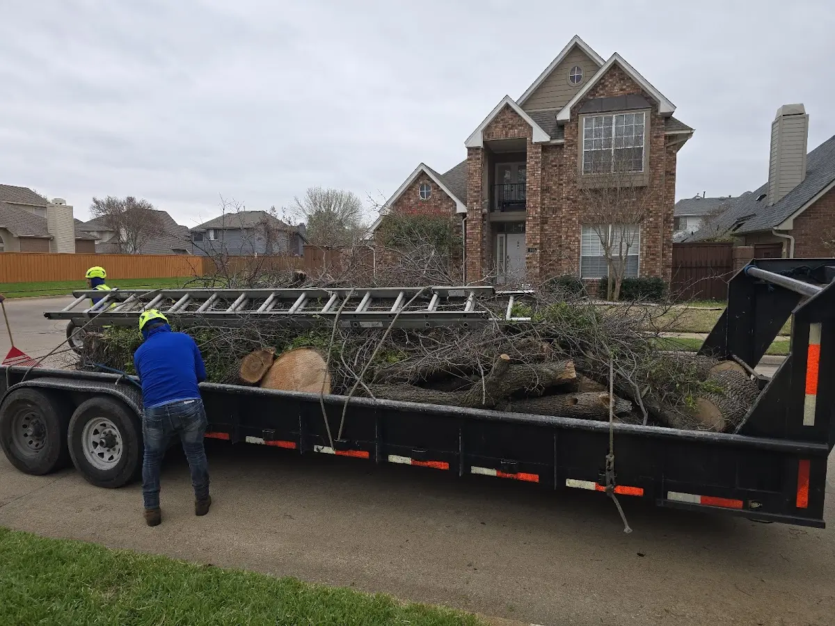 Expert Tree Pest Control with proper safety equipment in Guyton